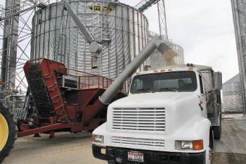 Moving Grain. The auger moves grain from the bed of the Honey Badger into a truck for transport.